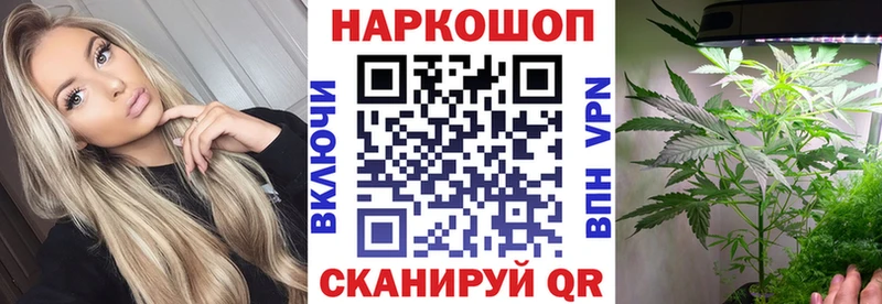 Где купить Шахунья ГАШ  МЕФ 