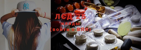 ПСИЛОЦИБИНОВЫЕ ГРИБЫ Михайловск
