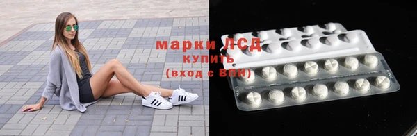 гидра Михайловка