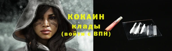 ПСИЛОЦИБИНОВЫЕ ГРИБЫ Михайловск