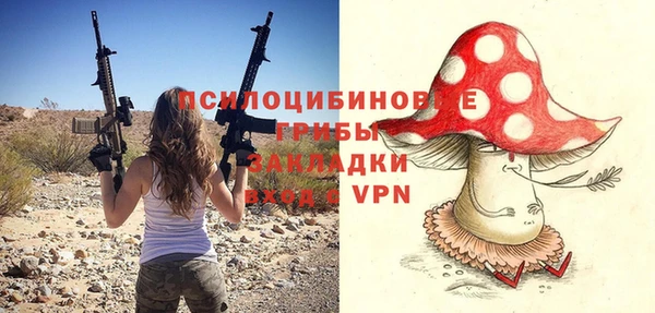 сатива Михайлов