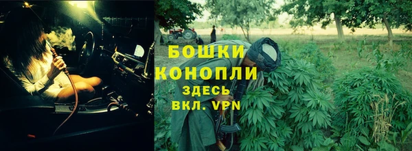 гидра Михайловка