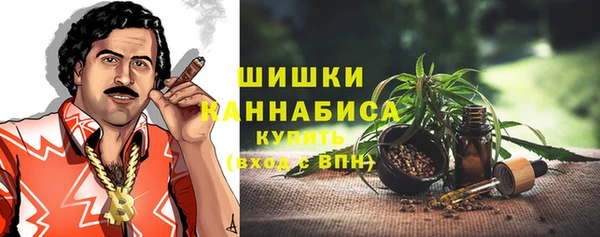гидра Михайловка