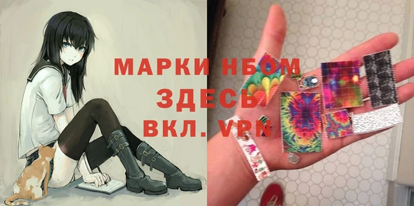 гидра Михайловка