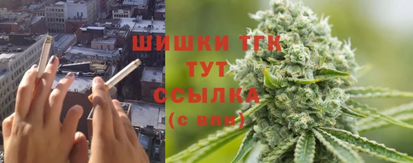 гидра Михайловка