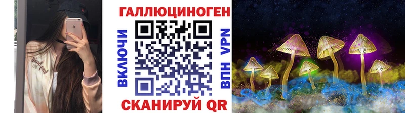 Псилоцибиновые грибы Psilocybine cubensis  Шахунья 